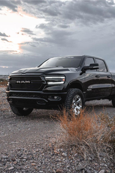 Cars & Pickups